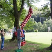  Sproing Pics (35/145)